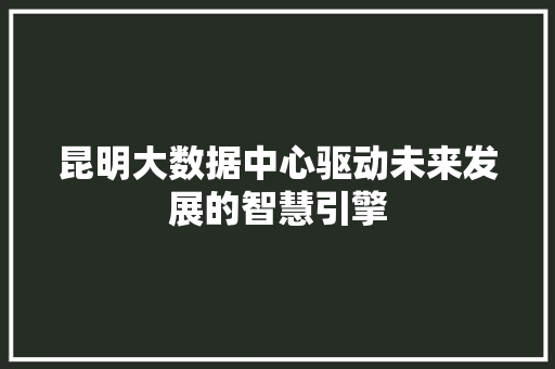 昆明大数据中心驱动未来发展的智慧引擎