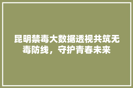 昆明禁毒大数据透视共筑无毒防线，守护青春未来