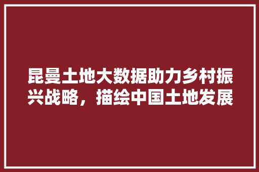 昆曼土地大数据助力乡村振兴战略，描绘中国土地发展新蓝图