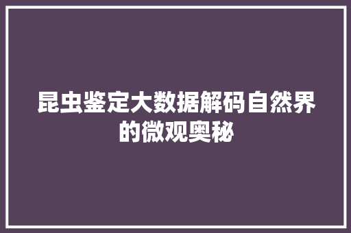 昆虫鉴定大数据解码自然界的微观奥秘