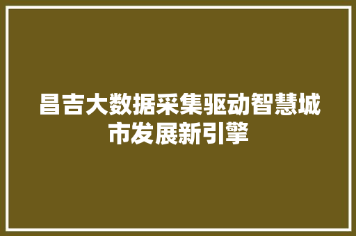 昌吉大数据采集驱动智慧城市发展新引擎
