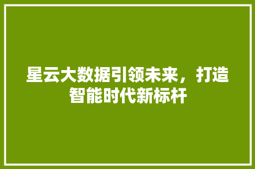 星云大数据引领未来，打造智能时代新标杆