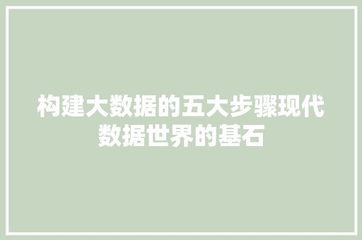 构建大数据的五大步骤现代数据世界的基石