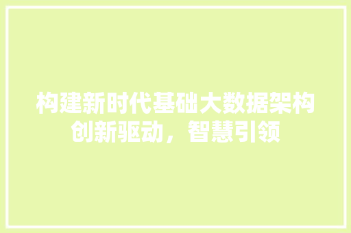 构建新时代基础大数据架构创新驱动，智慧引领