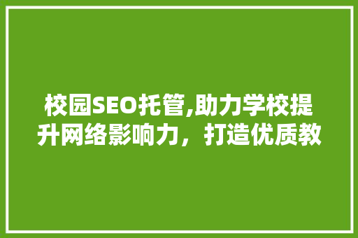 校园SEO托管,助力学校提升网络影响力，打造优质教育品牌 网站建设