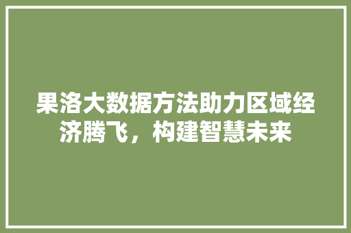 果洛大数据方法助力区域经济腾飞，构建智慧未来