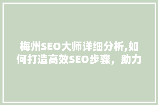 梅州SEO大师详细分析,如何打造高效SEO步骤，助力企业网络营销 前端技术