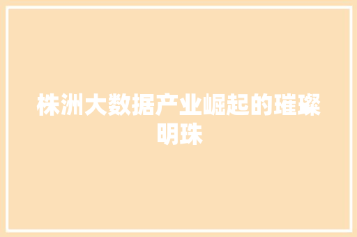 株洲大数据产业崛起的璀璨明珠