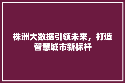 株洲大数据引领未来，打造智慧城市新标杆