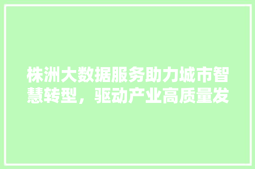 株洲大数据服务助力城市智慧转型，驱动产业高质量发展