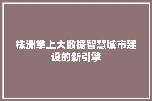 株洲掌上大数据智慧城市建设的新引擎