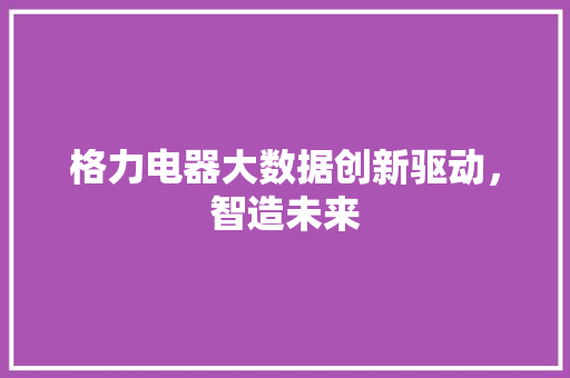 格力电器大数据创新驱动，智造未来