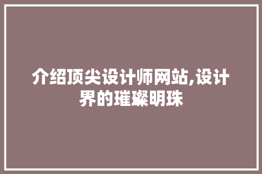 介绍顶尖设计师网站,设计界的璀璨明珠
