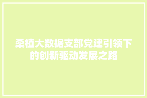 桑植大数据支部党建引领下的创新驱动发展之路