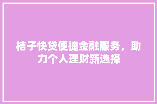 桔子快贷便捷金融服务，助力个人理财新选择