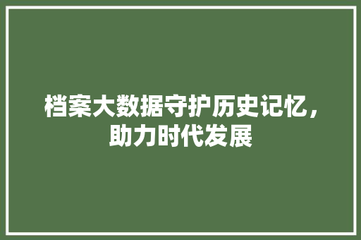 档案大数据守护历史记忆，助力时代发展