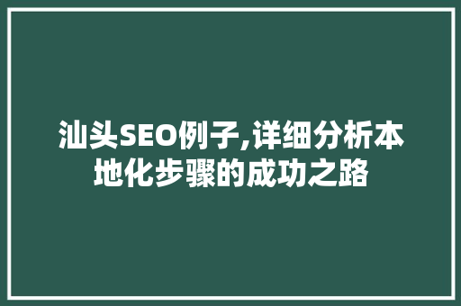汕头SEO例子,详细分析本地化步骤的成功之路