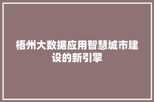 梧州大数据应用智慧城市建设的新引擎