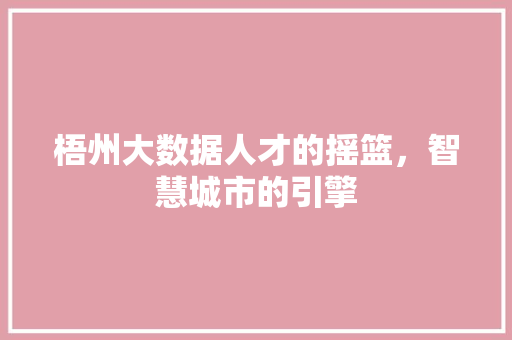 梧州大数据人才的摇篮，智慧城市的引擎