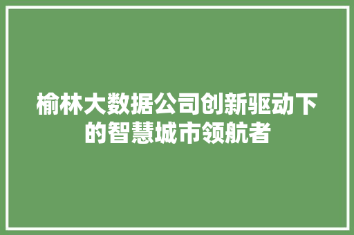 榆林大数据公司创新驱动下的智慧城市领航者