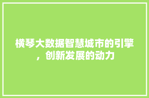 横琴大数据智慧城市的引擎，创新发展的动力