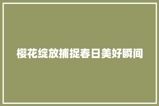 樱花绽放捕捉春日美好瞬间