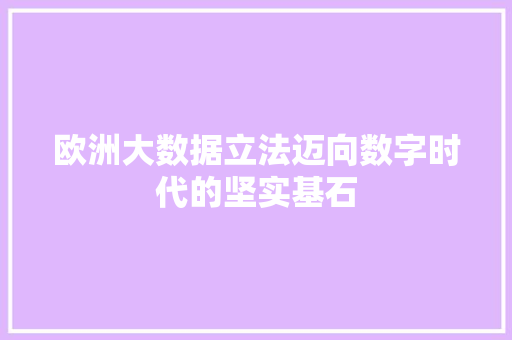 欧洲大数据立法迈向数字时代的坚实基石
