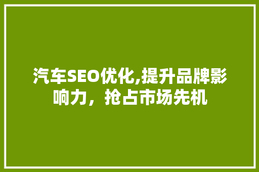 汽车SEO优化,提升品牌影响力，抢占市场先机 缓存Redis
