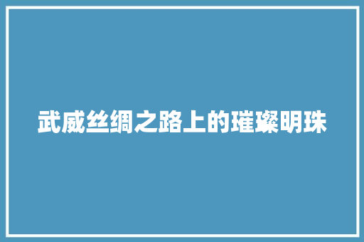 武威丝绸之路上的璀璨明珠