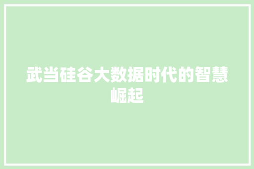 武当硅谷大数据时代的智慧崛起