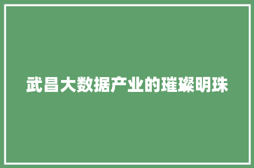 武昌大数据产业的璀璨明珠