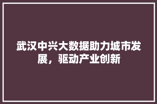 武汉中兴大数据助力城市发展，驱动产业创新