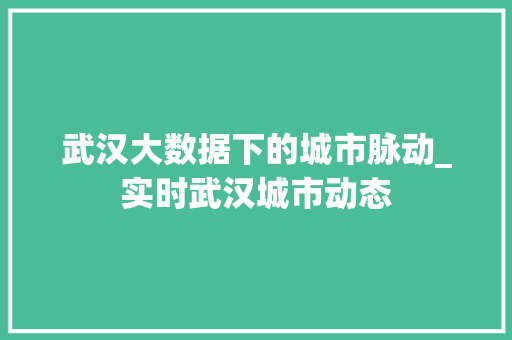 武汉大数据下的城市脉动_实时武汉城市动态