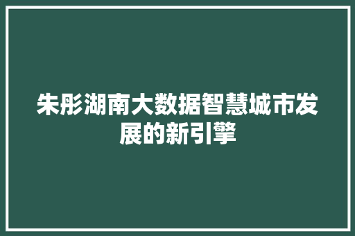 朱彤湖南大数据智慧城市发展的新引擎