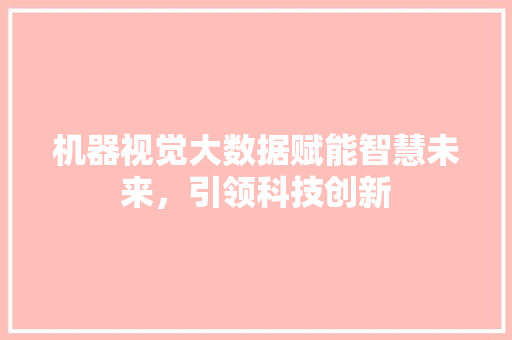 机器视觉大数据赋能智慧未来，引领科技创新