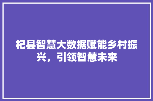 杞县智慧大数据赋能乡村振兴，引领智慧未来