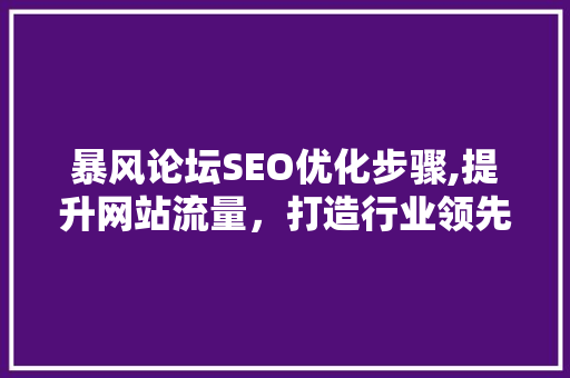 暴风论坛SEO优化步骤,提升网站流量，打造行业领先平台 项目报告