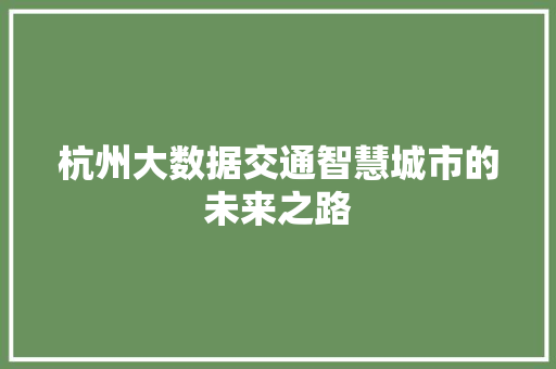 杭州大数据交通智慧城市的未来之路
