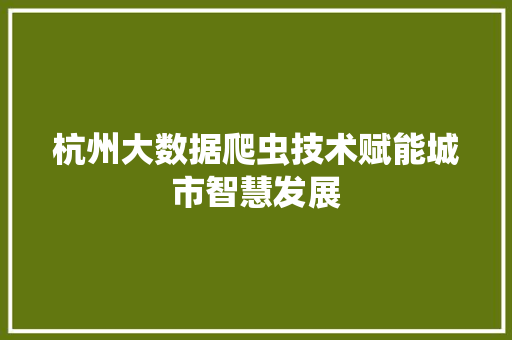 杭州大数据爬虫技术赋能城市智慧发展
