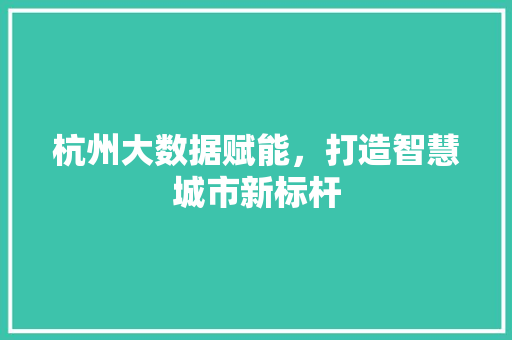 杭州大数据赋能，打造智慧城市新标杆