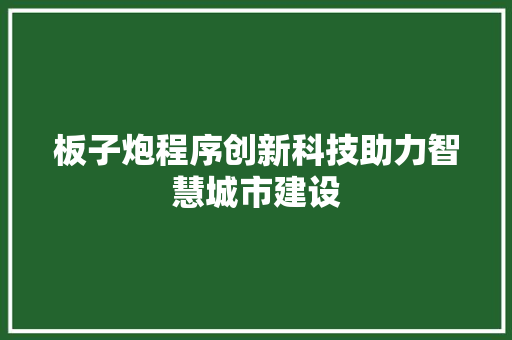 板子炮程序创新科技助力智慧城市建设