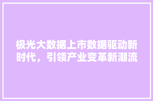 极光大数据上市数据驱动新时代，引领产业变革新潮流