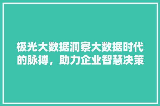 极光大数据洞察大数据时代的脉搏，助力企业智慧决策