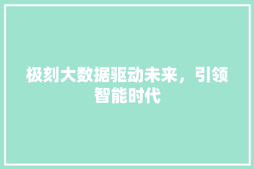 极刻大数据驱动未来，引领智能时代