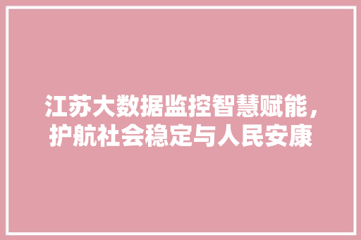 江苏大数据监控智慧赋能，护航社会稳定与人民安康