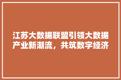 江苏大数据联盟引领大数据产业新潮流，共筑数字经济未来