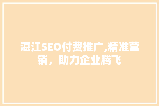 湛江SEO付费推广,精准营销，助力企业腾飞