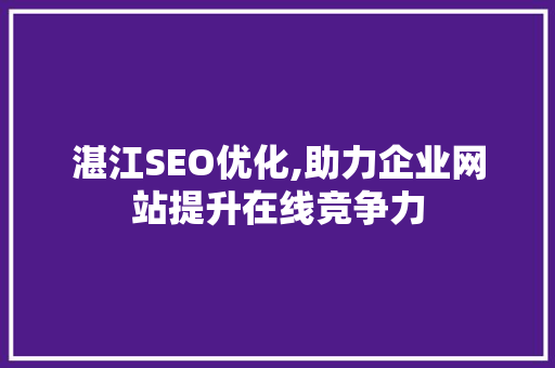 湛江SEO优化,助力企业网站提升在线竞争力