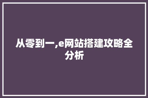 从零到一,e网站搭建攻略全分析