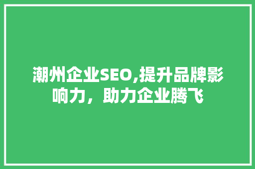 潮州企业SEO,提升品牌影响力，助力企业腾飞 MySQL